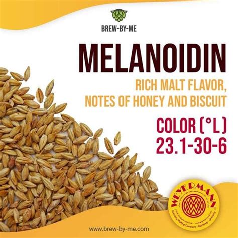 melanoidin malt substitute